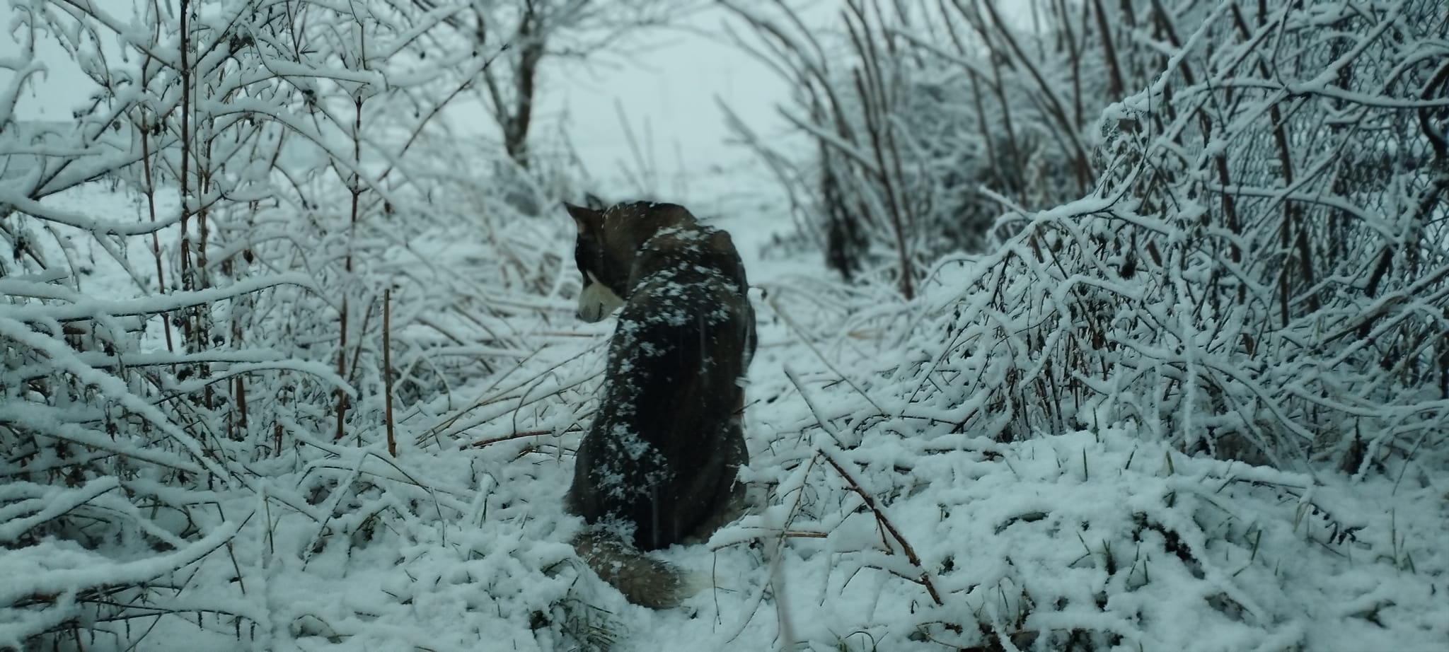 Fotografia w plenerze