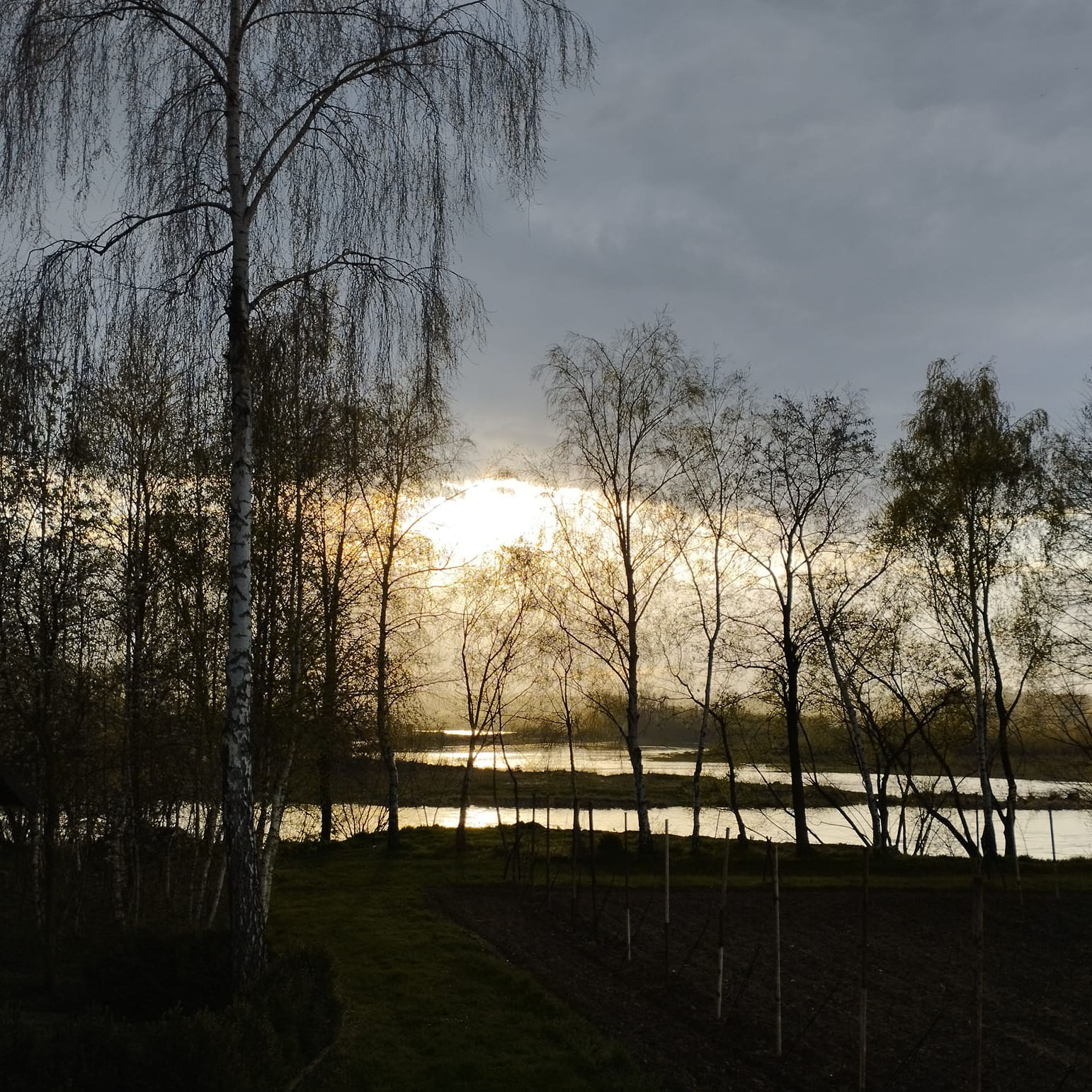 Ujęcie makro kwiatów
