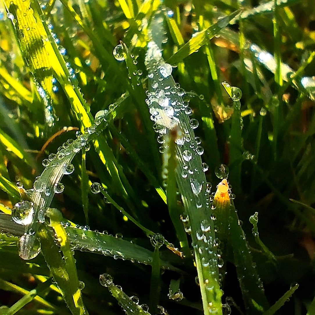 Sesja portretowa w plenerze